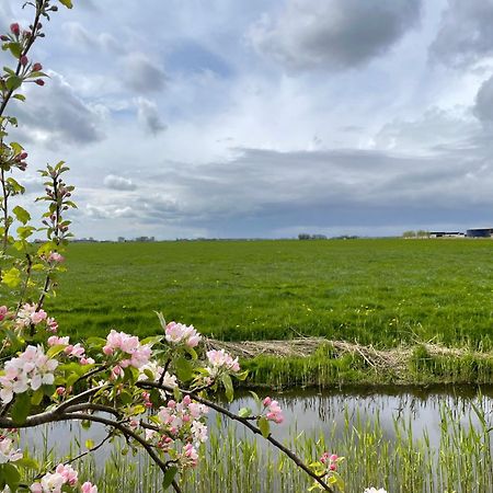 Bed And Breakfast De Salix Hitzum Bagian luar foto