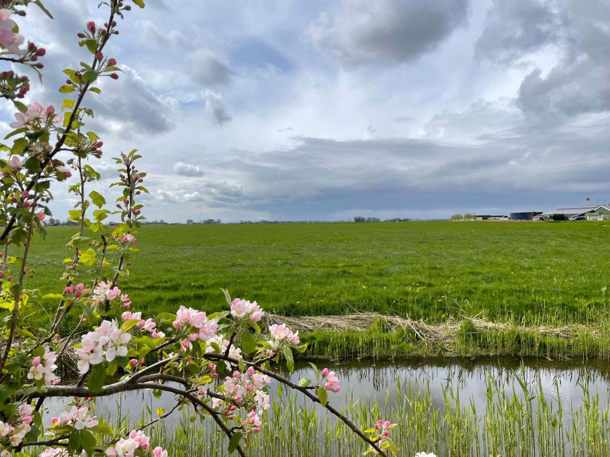 Bed And Breakfast De Salix Hitzum Bagian luar foto