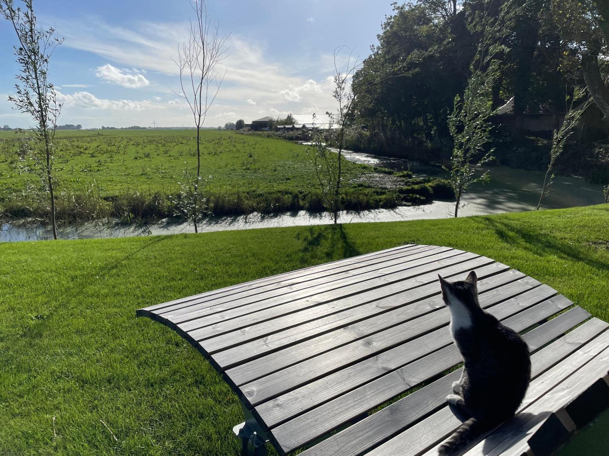 Bed And Breakfast De Salix Hitzum Bagian luar foto